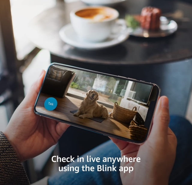 Blink Mini Camera