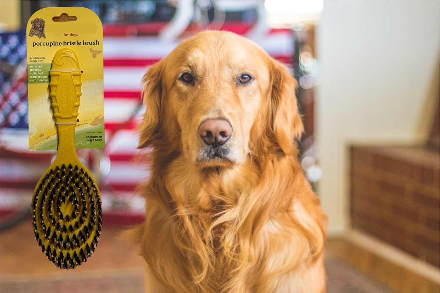 Burts Bees Porcupine Dog Hair Brush