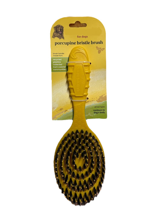 Burts Bees Porcupine Dog Hair Brush